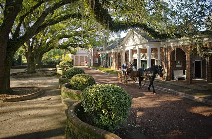 The Tiger Rising begins filming in Georgia