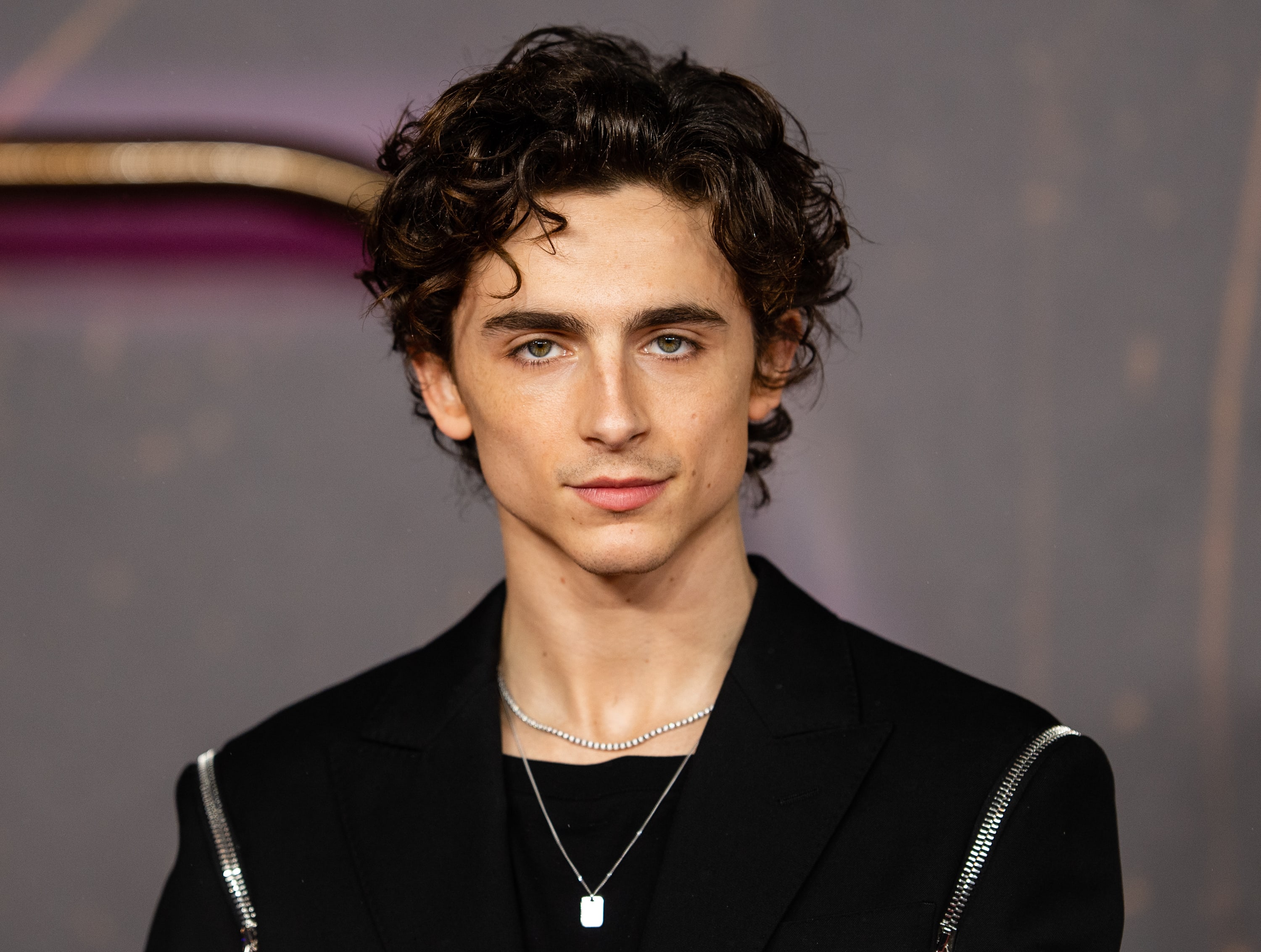 Timothée Chalamet's Bob Dylan biopic to begin filming this summer in NY