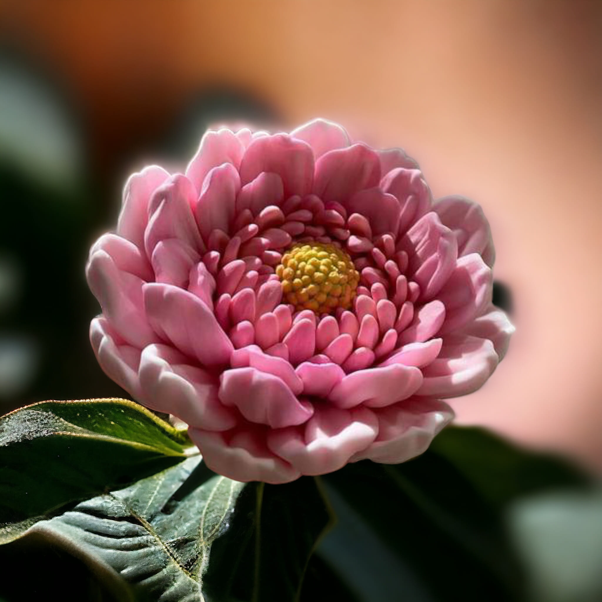 Силіконова форма гербера pink