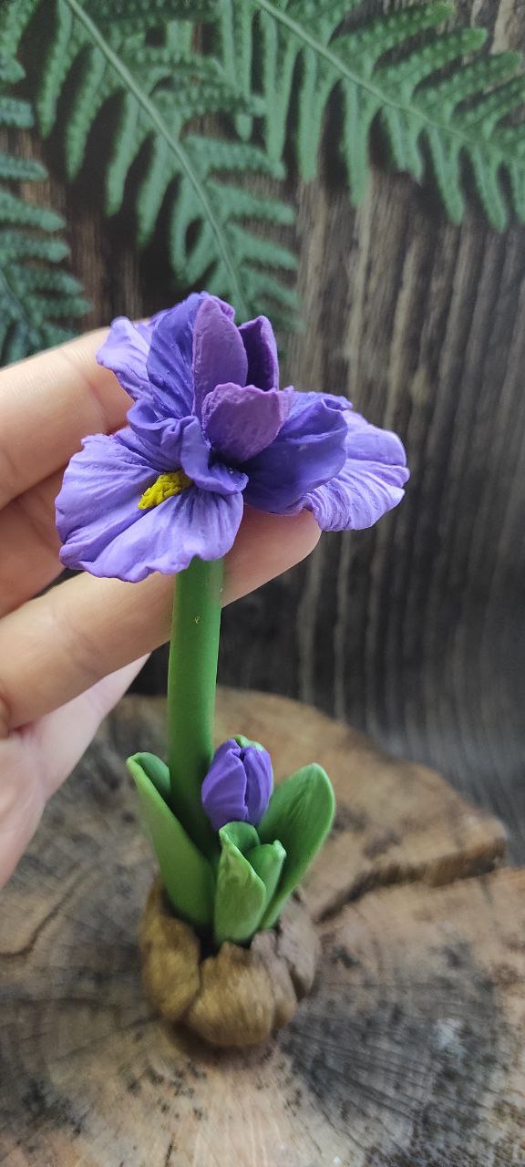 Набір силіконових форм ірис міні