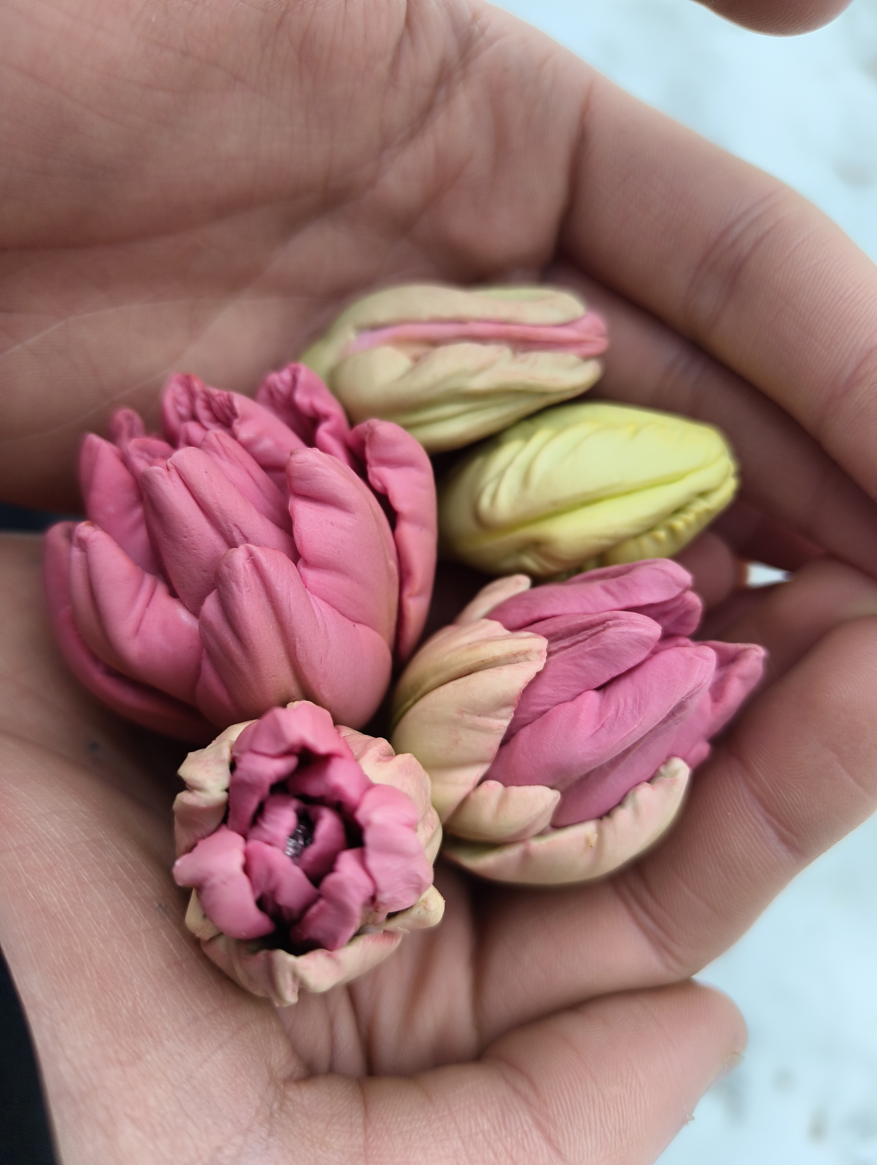 Набір силіконових форм тюльпани Генсера