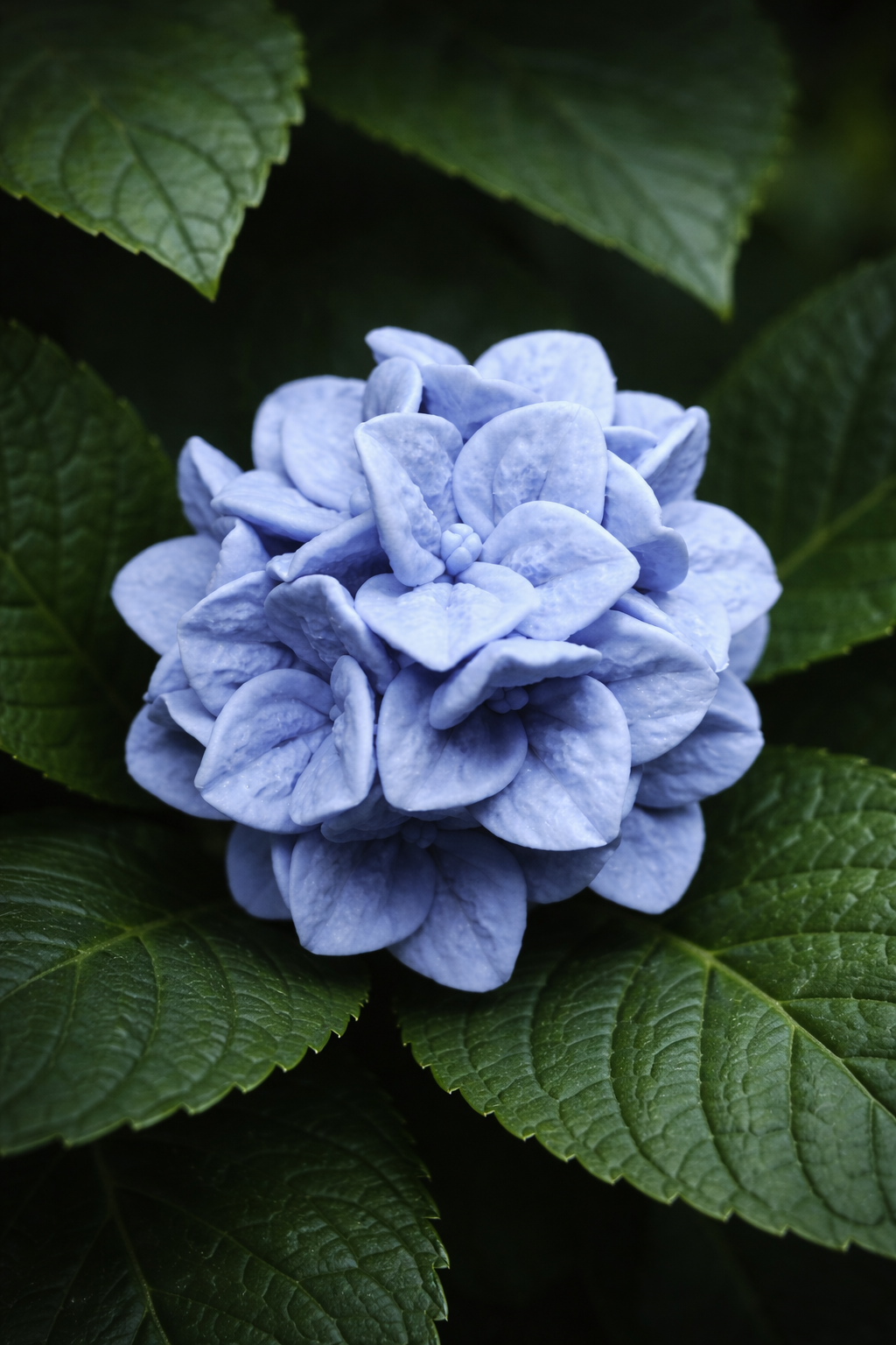 Силіконова форма шапка гортензії 