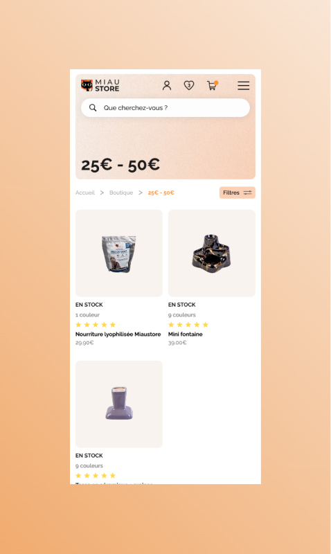 Image de mise en avant du projet