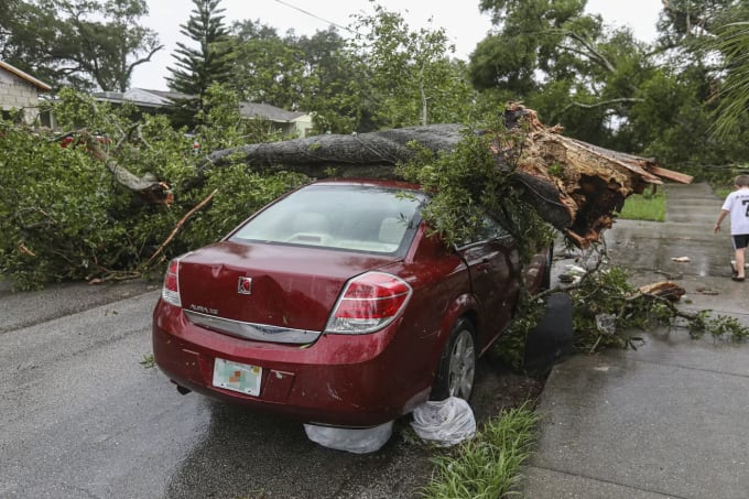 Tree fallen on car after storm illustrating comprehensive insurance claim scenarios