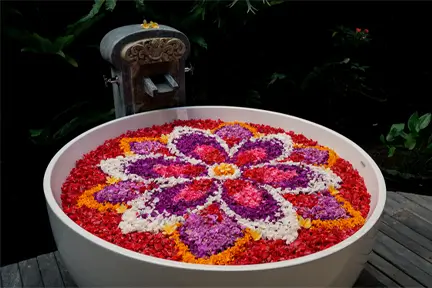 The Art of Flower Wellness