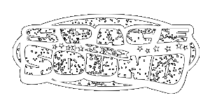 Space in Sound band logo