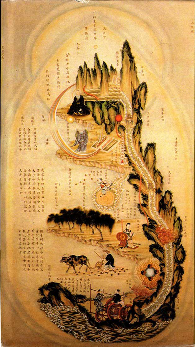 Maria - Classical Chinese Medicine Practitioner