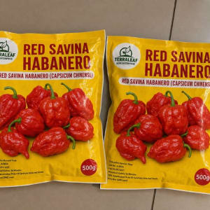 ABE and Habanero chilli seeds (30,000 seeds) per pack