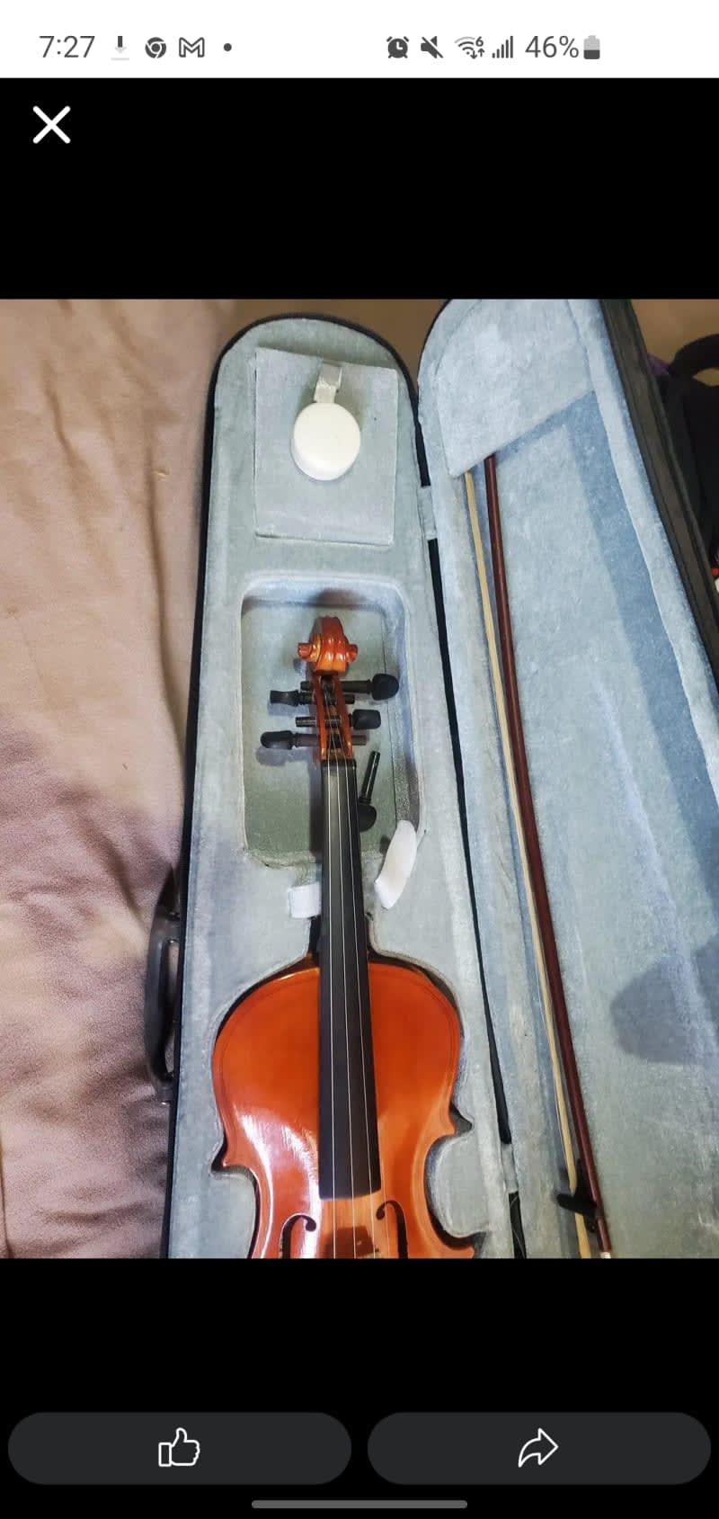 Violin