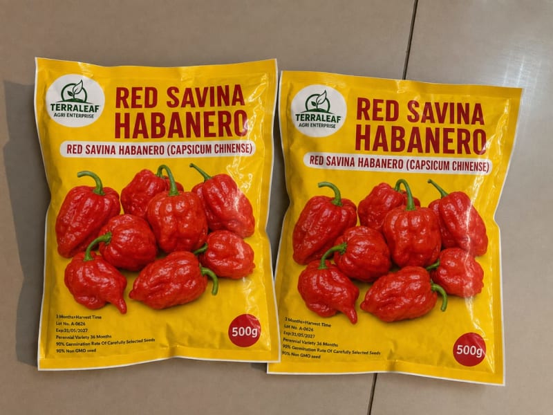 ABE and Habanero chilli seeds (30,000 seeds) per pack