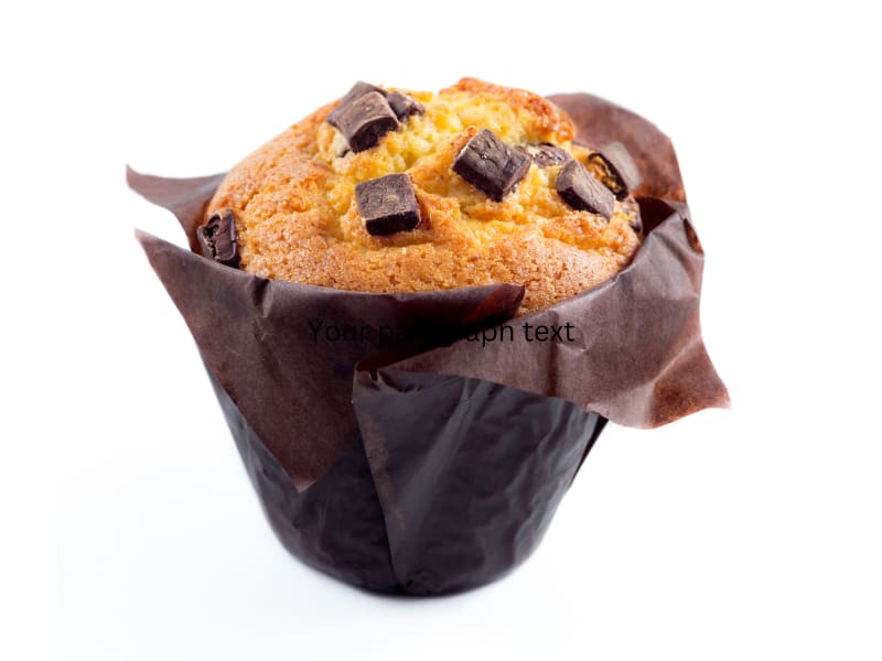 Chocolate Muffin