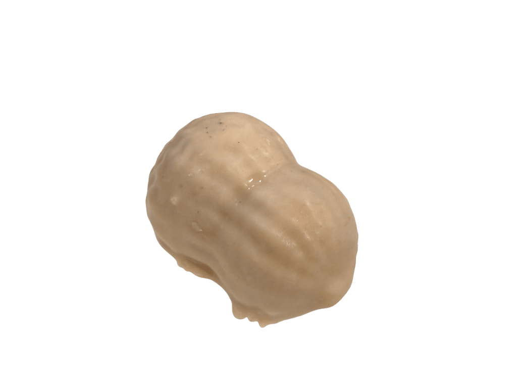 Viral Coffee Bean Fruit Cake