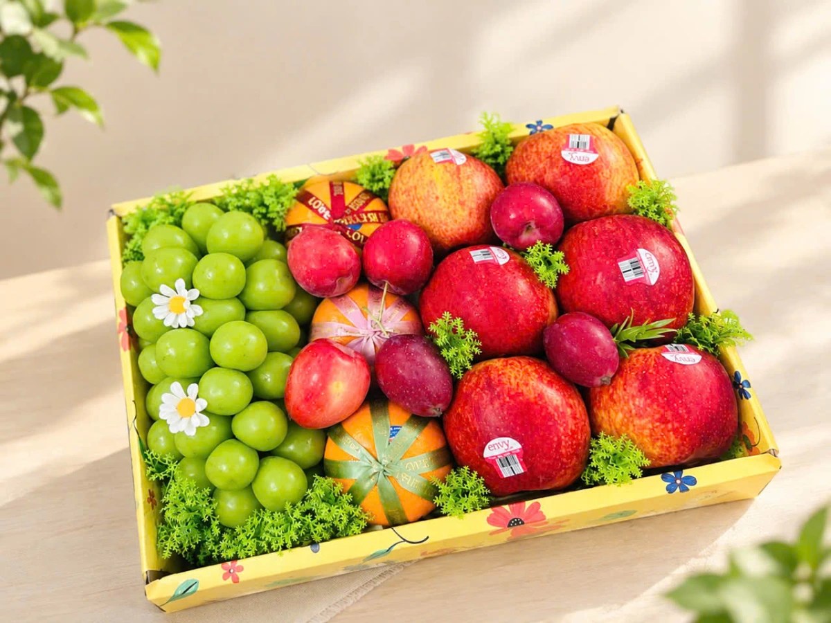 Set trái cây nk354