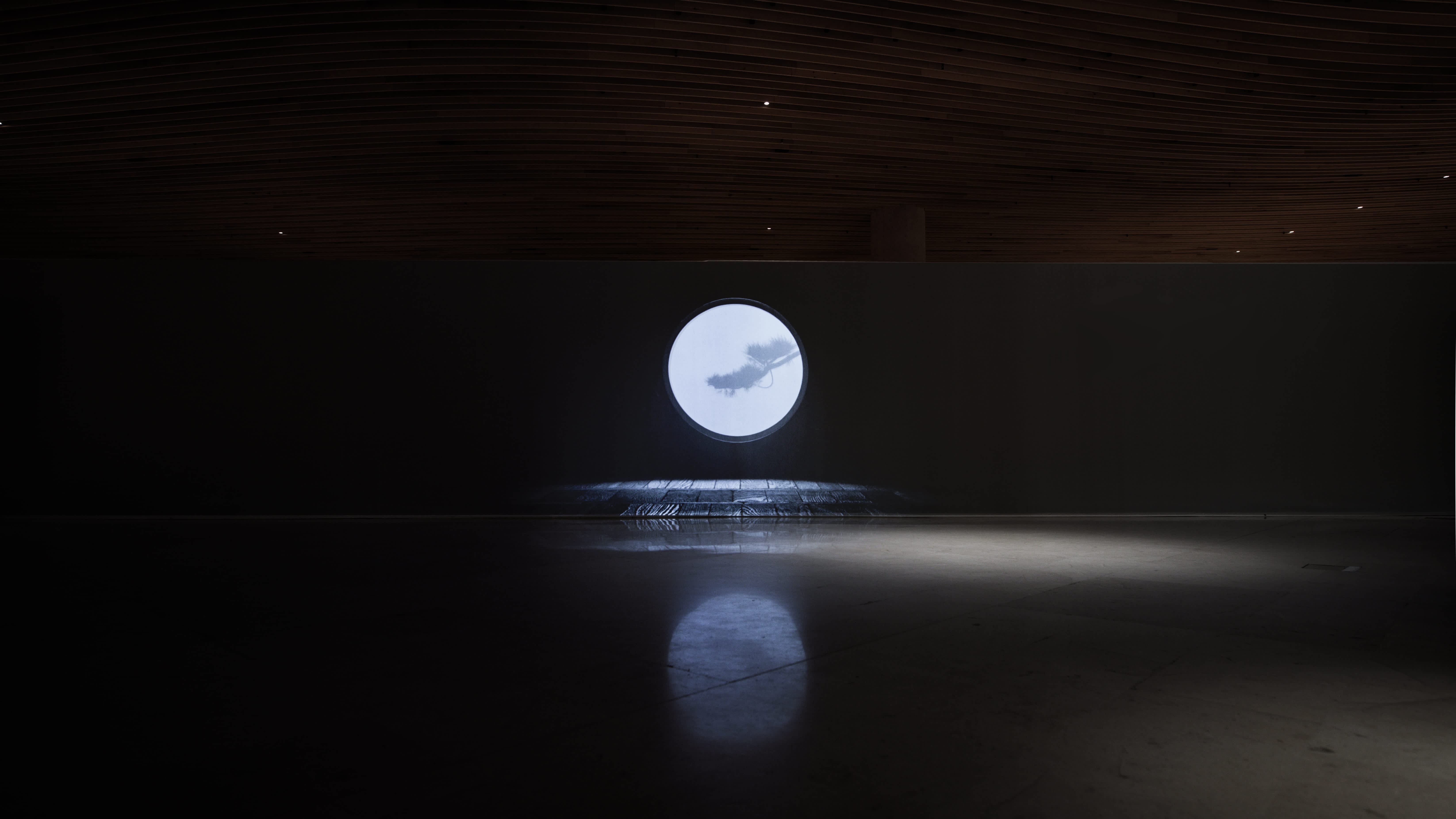 shun-kawakami-installation-digitale-louvre-satocreative