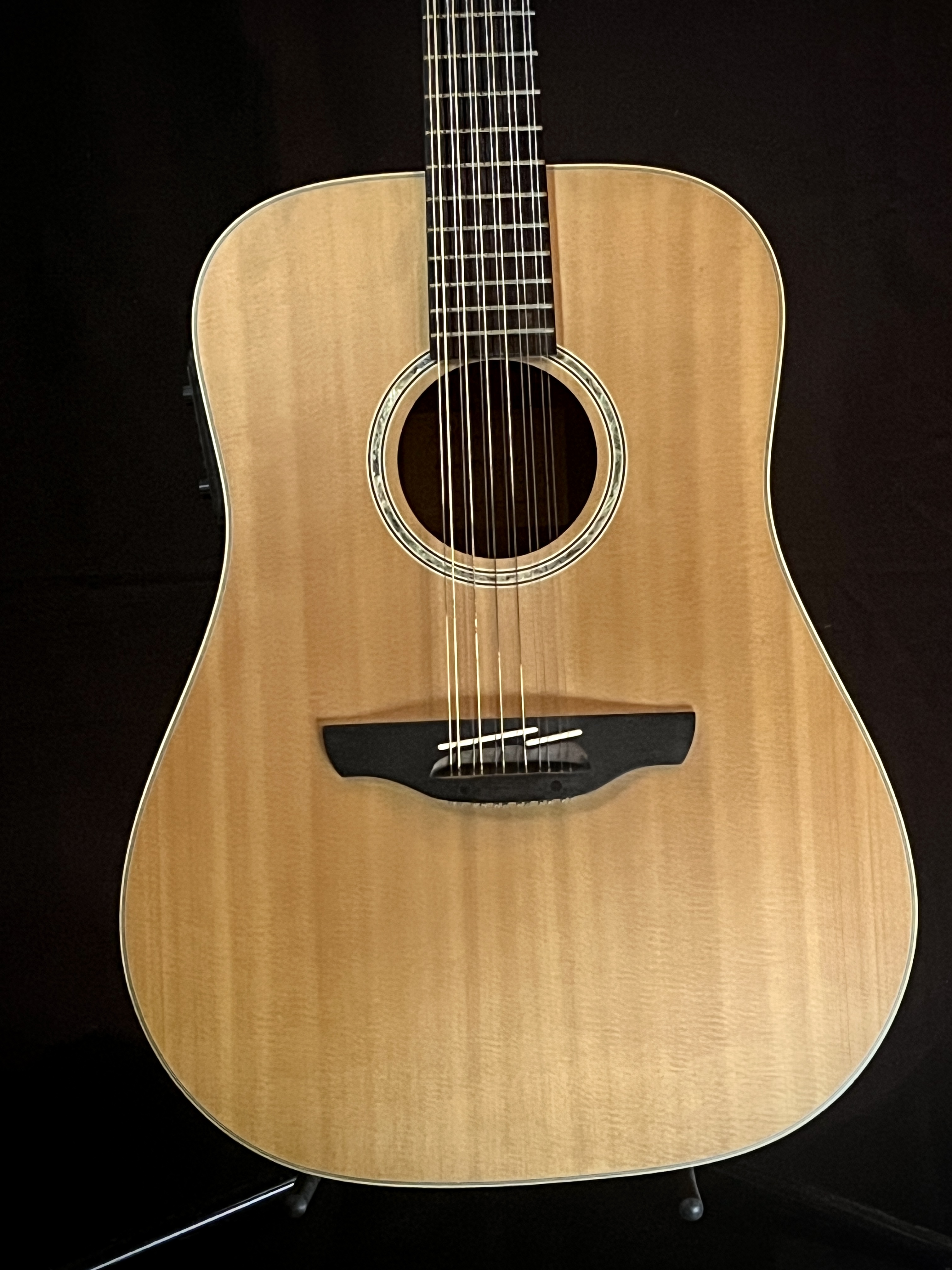 Takamine G Series 12 cordas