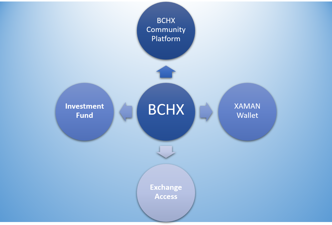 XRP Ledger