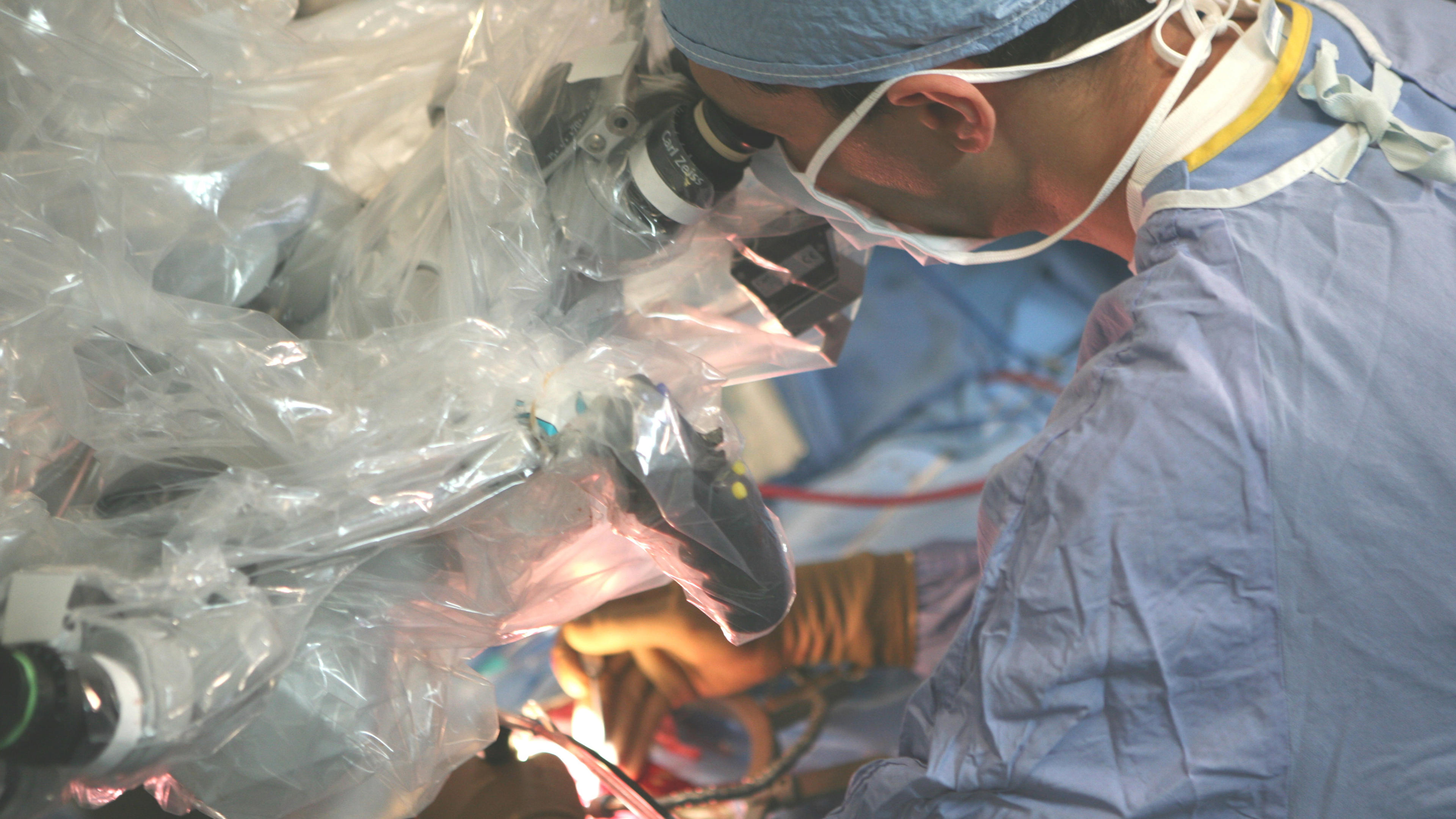About | The Neurosurgical Atlas