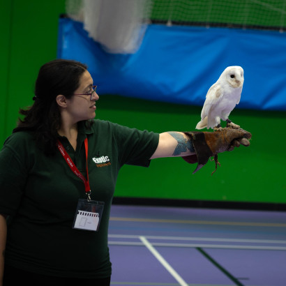 Puri flying an owl.