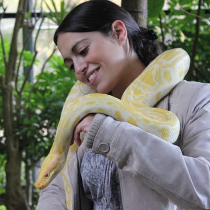 Puri with a burmese python around her neck.