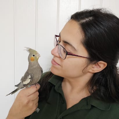 Puri holding a cockatiel.