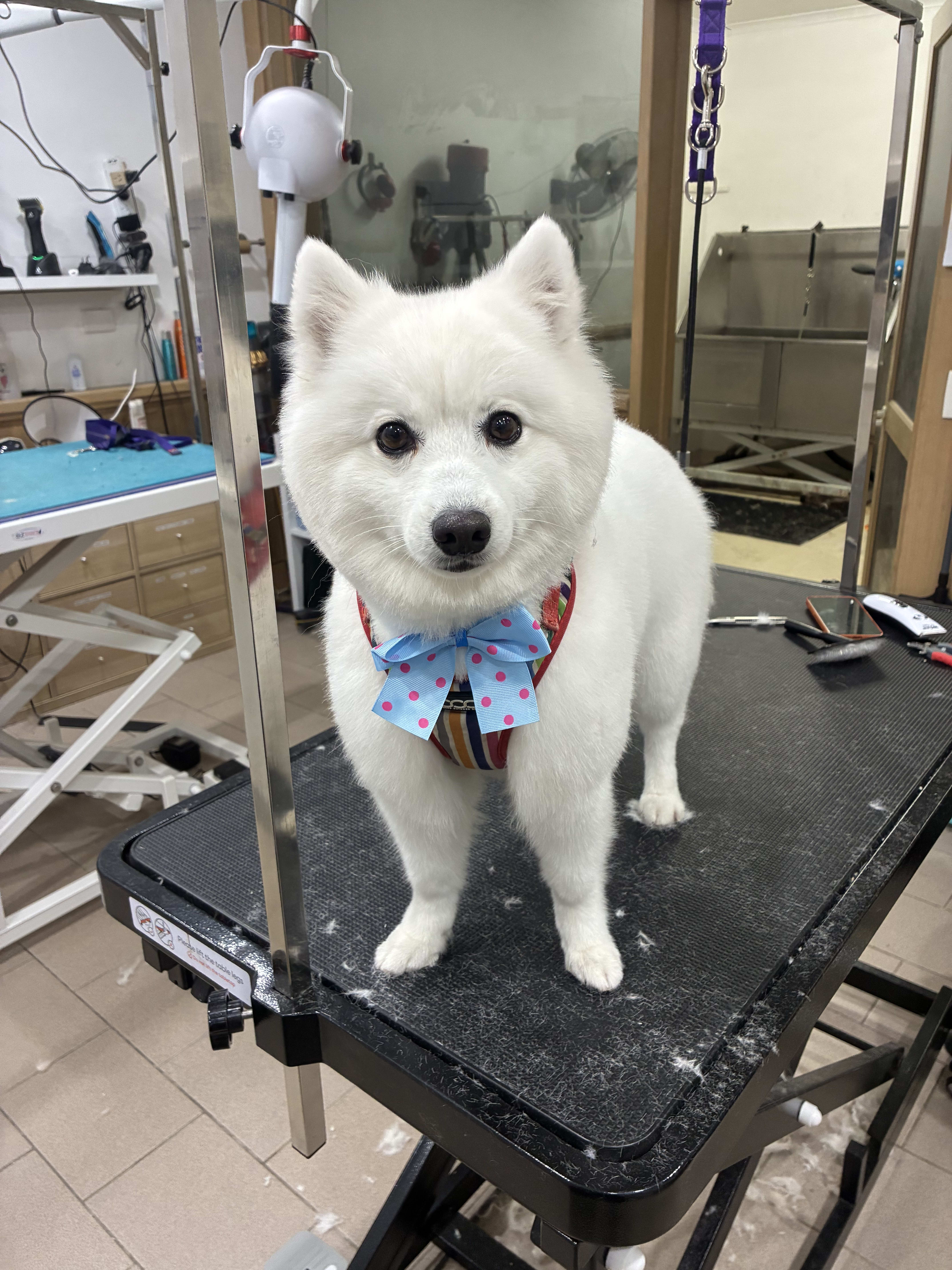 Cute Round Face