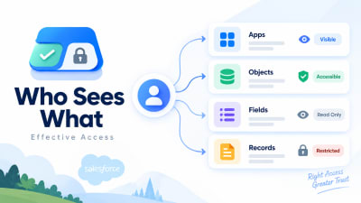 Who Sees What resolving one Salesforce user's effective access into a single screen