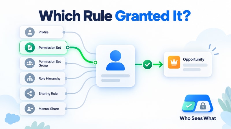Each access shown alongside the specific profile, permission set or sharing rule that granted it
