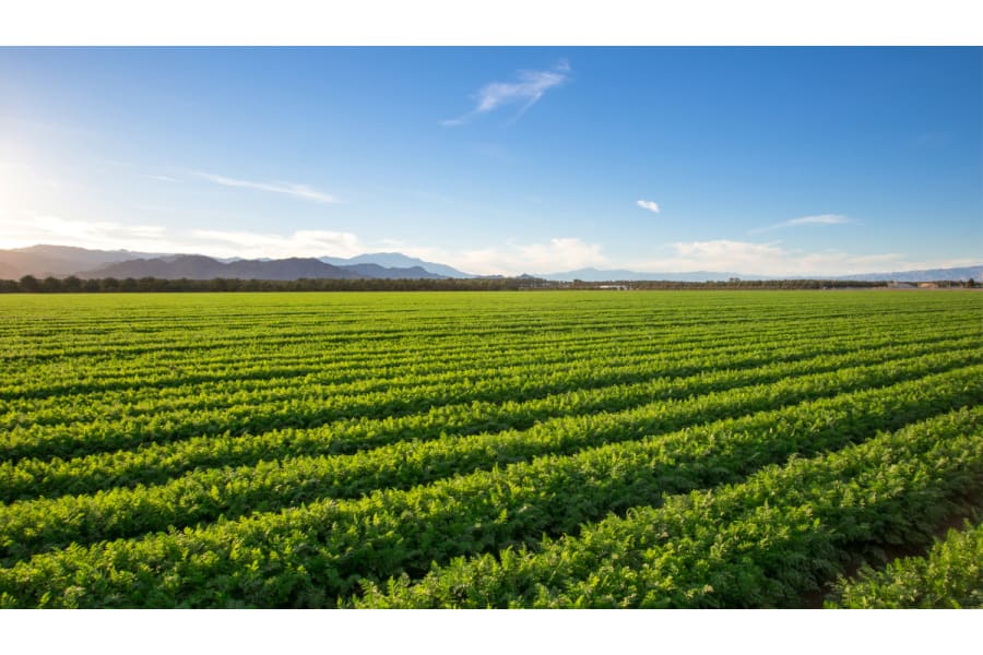 AgVantage Commodities Marketplace connecting buyers, sellers and brokers