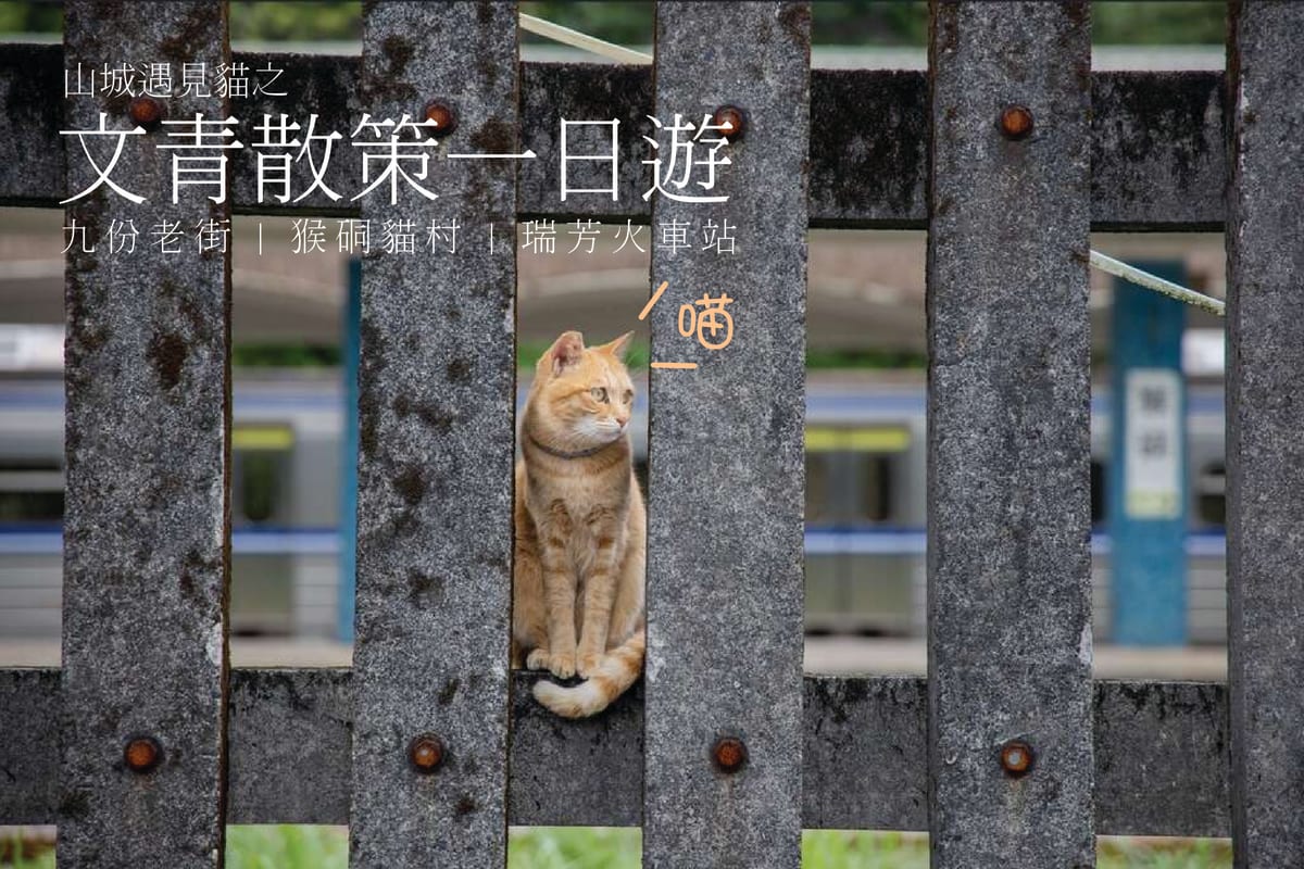 jiufen-houtong-cat-village-tour