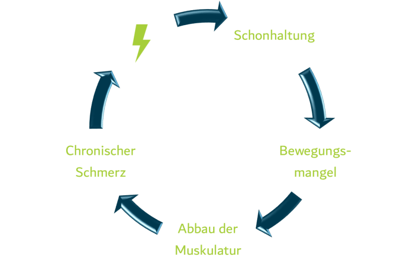 Krafttraining gegen Rückenschmerzen Bochum - Rückenmuskulatur gezielt stärken und Schmerzen lindern