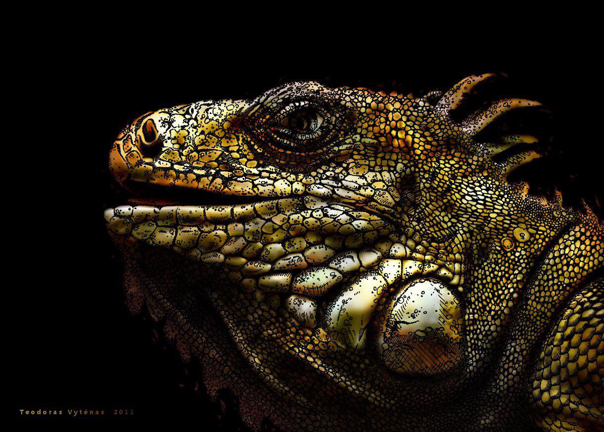 "IGUANA"