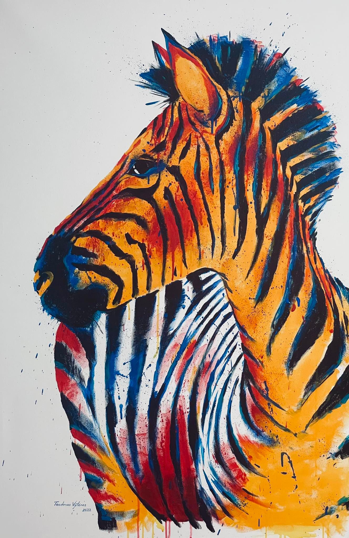 "ZEBRAS 1"