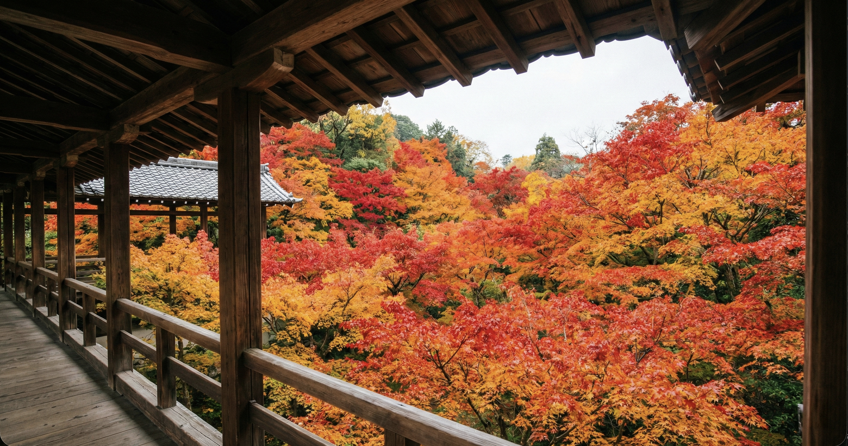 Kyoto temple corridor viewing autumn colors