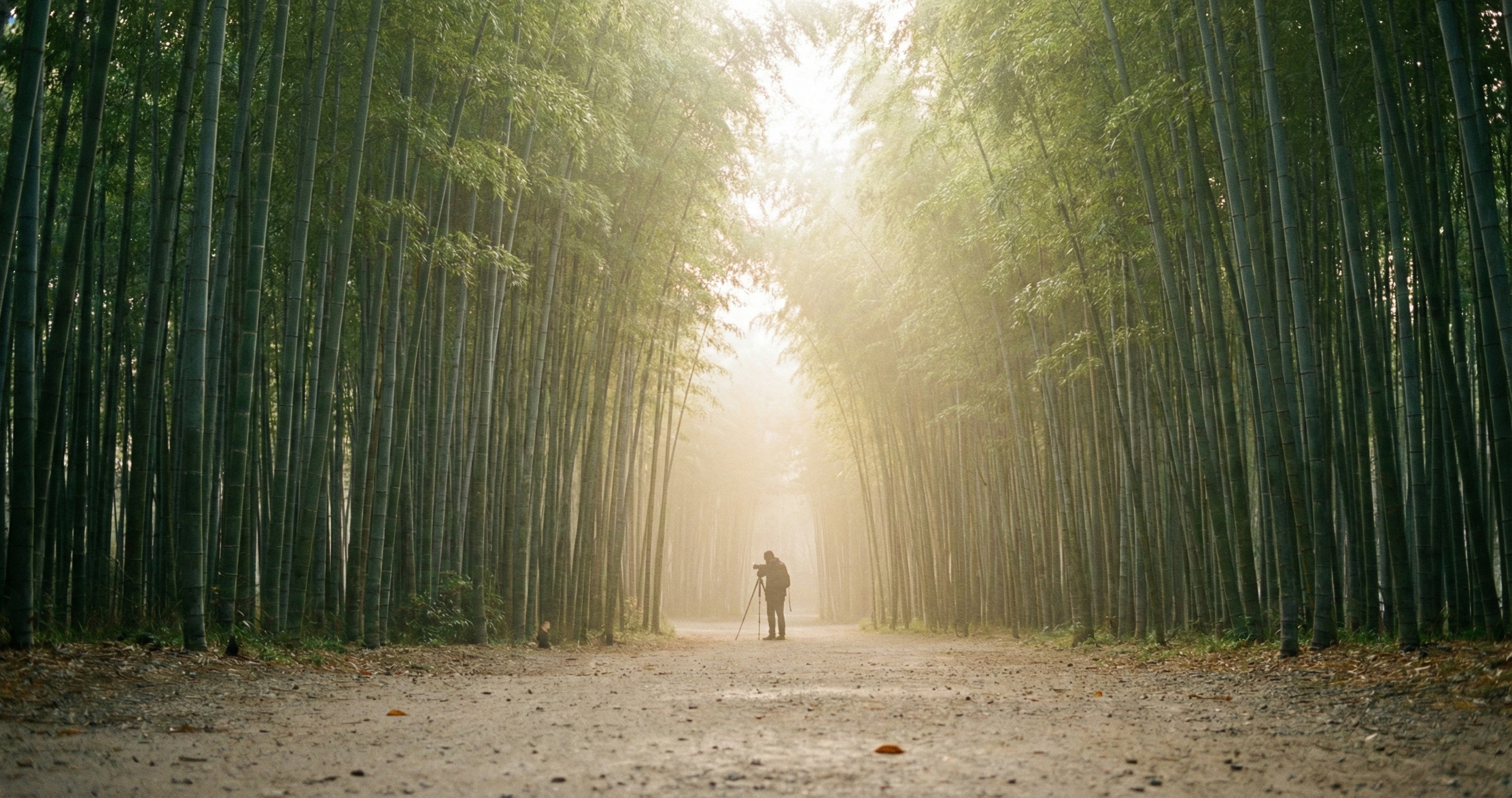 Quiet atmosphere in Asakusa side streets or nature spots