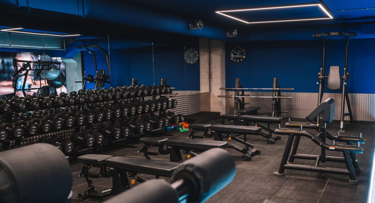 bxbf9tac2ujafdfw2pd8 - Hero Foto GymKing Alphen aan den Rijn Alphen aan den Rijn 1