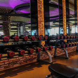 The Fitness Lounge Afbeelding