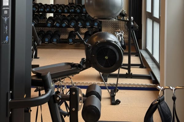 bbxl6clyaprpp0vyrntc - Foto GymKing IJburg 2