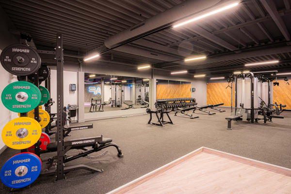 cksspbgammpykawmmtqu - Foto Anytime Fitness Dongen 2