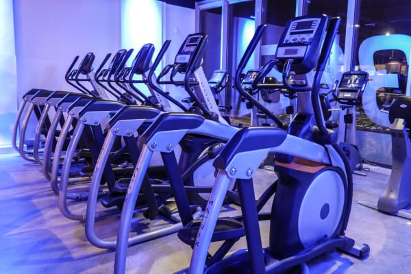 ln8fyryvwxz2awq10rdp - Foto Fitness 365 Alphen aan den Rijn 2