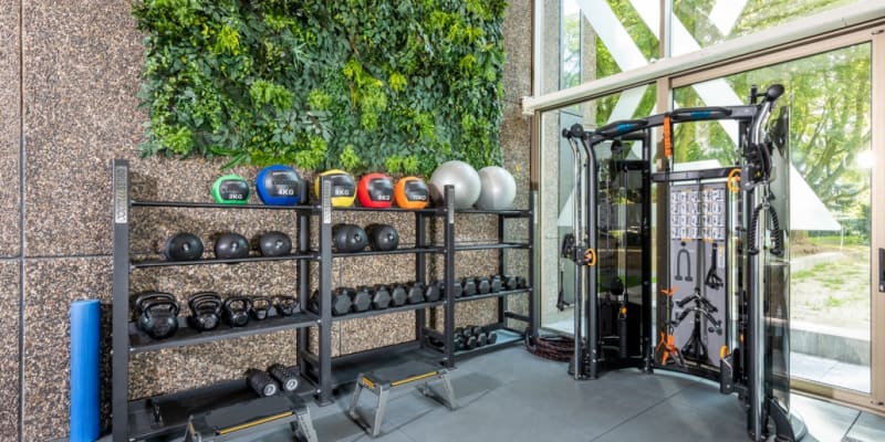 The Blue Zone Gym Afbeelding