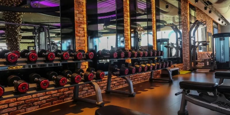 The Fitness Lounge Afbeelding