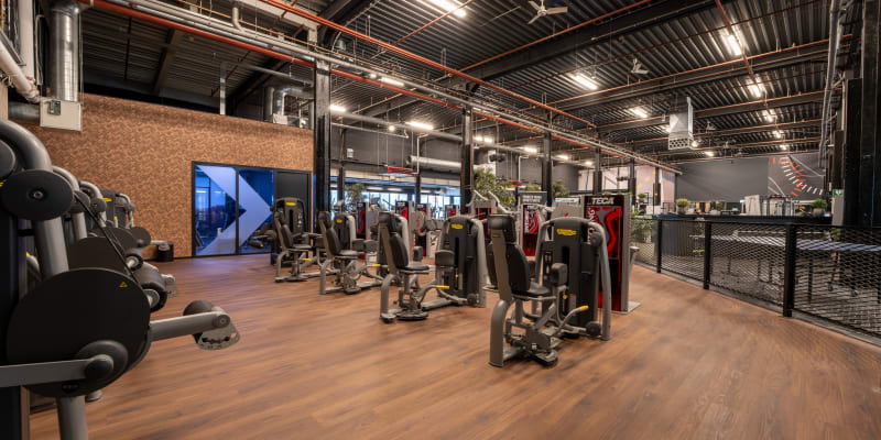 SportCity Haarlem Spaarneboog Afbeelding