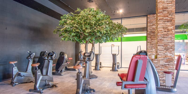 Sport & Slankstudio Dordrecht Centrum Afbeelding