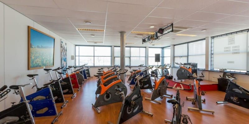 Fitness Fitaal Afbeelding