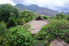 Pondok Sari