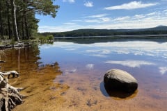 Cairngorm Guest House