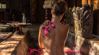Wellness