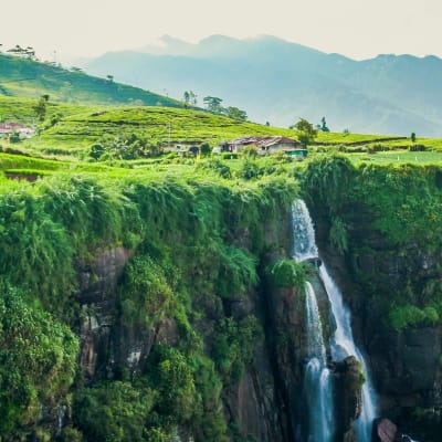 Gode råd til dig, der skal flyve langt