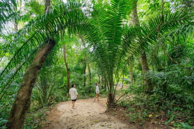 Verdensvenner p Koh Yao