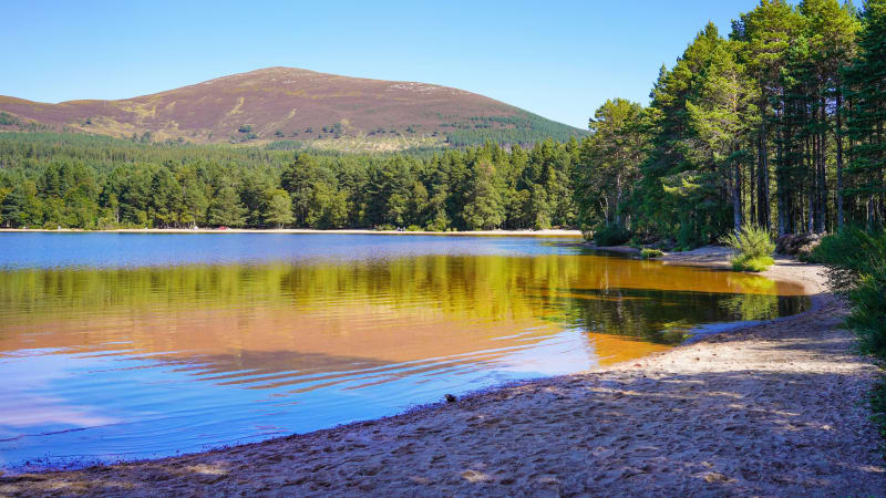Vandretur til floden Spey til Kincraig og Loch Insh